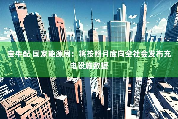 宝牛配 国家能源局：将按照月度向全社会发布充电设施数据