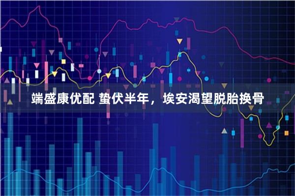 端盛康优配 蛰伏半年，埃安渴望脱胎换骨
